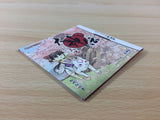 Okamiden Chiisaki Taiyo BOXED Nintendo DS Japan - FG7749