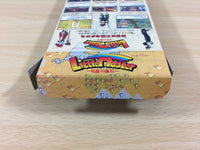 ub2012 Little Master Niji Iro no Maseki BOXED SNES Super Famicom Japan