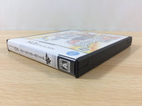 fh2920 Pokemon White 2 BOXED Nintendo DS Japan