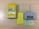 Dragon's Earth BOXED SNES Super Famicom Japan - UC4090