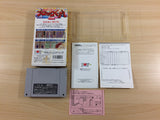 Block Kuzushi BOXED SNES Super Famicom Japan - UD3710