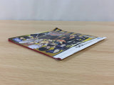 Reborn! BOXED Nintendo DS Japan - FG9953
