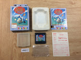 Panzer Dragoon Mini BOXED Sega Game Gear Japan - DH6217