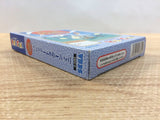 Panzer Dragoon Mini BOXED Sega Game Gear Japan - DH6217