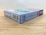Panzer Dragoon Mini BOXED Sega Game Gear Japan - DH6217