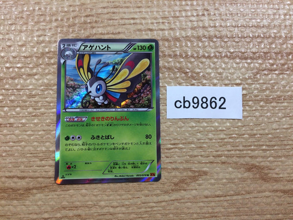 CB9862 Beautifly Grass R XY6 005/078 Pokemon Card TCG Japan