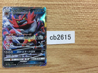CB2615 Incineroar GX Darkness RR SM8a 032/052 Pokemon Card TCG Japan