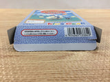 Panzer Dragoon Mini BOXED Sega Game Gear Japan - DH6217
