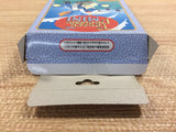 Panzer Dragoon Mini BOXED Sega Game Gear Japan - DH6217