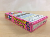 Bakutou Dodgers Bumpsjima wa Oosawagi BOXED SNES Super Famicom Japan - UC9783