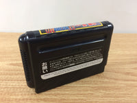 DH4636 Nakajima Satoru Kanshuu F1 Hero MD BOXED Mega Drive Genesis Japan