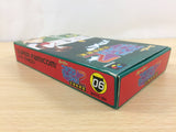 Nichibutsu Mahjong 2 Zenkoku Seiha Hen BOXED SNES Super Famicom Japan - UC1840