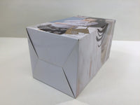 oa3263 Unopened Love Live! Sunshine!! Dia Kurosawa Boxed Figure Japan