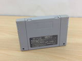 Super Troll Islands BOXED SNES Super Famicom Japan - UB8828