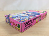 Super Nazo Puyo 2 Tsu BOXED SNES Super Famicom Japan - UD2724