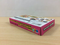 ub1527 Zettai Zetsumei Dangerous Grandpa BOXED GameBoy Advance Japan