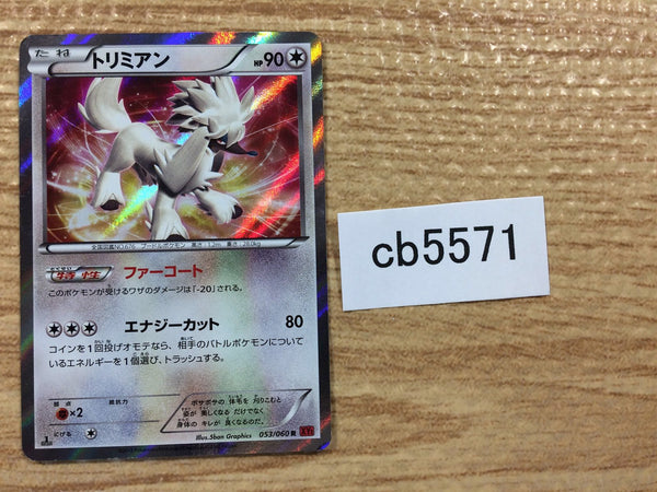 CB5571 Furfrou Colorless R XY1Y 053/060 Pokemon Card TCG Japan