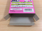 Super Nazo Puyo 2 Tsu BOXED SNES Super Famicom Japan - UD2724