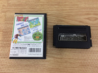 DH4640 Super Fantasy Zone BOXED Mega Drive Genesis Japan