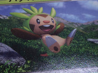 CC4550 Chespin Grass PROMO PROMO 061/XY-P Pokemon Card TCG Japan