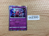 CC2300 Zoroark Dark R S10A 030/071 Pokemon Card TCG Japan