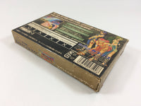 wa2194 Breath of Fire II 2 Shimei no Ko BOXED GameBoy Advance Japan