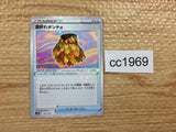 CC1969 Leafy Camo Poncho I — s12a 147/172 Pokemon Card TCG Japan