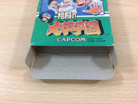 UC5373 Mizushima Shinji no Dai Koushien BOXED NES Famicom Japan