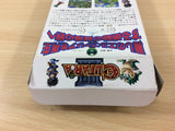 Elfaria II 2 The Quest of the Meld BOXED SNES Super Famicom Japan - UC6581