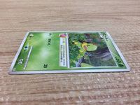 CA8715 Turtwig Grass - PtC-R 001/012 Pokemon Card TCG Japan