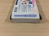 Sylvania Family Fashion Designer Ninaritai! BOXED GameBoy Advance Japan - UB2145
