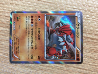 CD2106 Groudon Ground PROMO PROMO 184/XY-P Pokemon Card TCG Japan