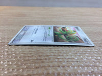 CC9612 Kecleon Colorless Rare ADV2 043/053 Pokemon Card TCG Japan