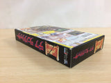 Der Langrisser BOXED SNES Super Famicom Japan - UC9911