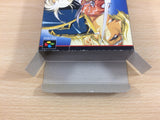 Der Langrisser BOXED SNES Super Famicom Japan - UC9911