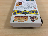 Takahashi Meijin no Daibouken Jima II 2 BOXED SNES Super Famicom Japan - UD3466