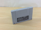 Shuushoku Game Trendy Drama BOXED SNES Super Famicom Japan - UC6304