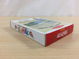 Blodia Land Puzzle Quest BOXED NES Famicom Japan - UD5601