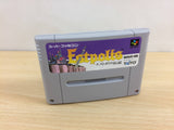 Estpolis Denki Lufia BOXED SNES Super Famicom Japan - UB6909