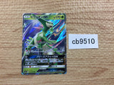 CB9510 Virizion GX Grass RR SM7a 006/060 Pokemon Card TCG Japan