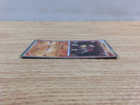 CC3764 Terrakion Fighting R BW2 046/066 Pokemon Card TCG Japan