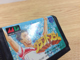 Grand Slam Mega Drive Genesis Japan - DH5820