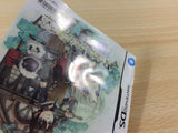Rune Factory A Fantasy Harvest Moon BOXED Nintendo DS Japan - FG8687