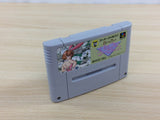 Super Pachi Slot Mahjong BOXED SNES Super Famicom Japan - UD5245