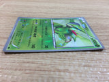 CA8310 Virizion GrassFighting - BK-B 013/014 Pokemon Card TCG Japan