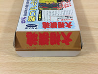 UB3001 Spirit Ozumo Damashii Sumo BOXED SNES Super Famicom Japan