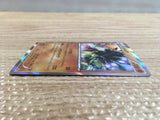 CD2130 Zygarde DragonGround PROMO PROMO 251/XY-P Pokemon Card TCG Japan