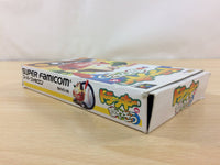 UC4748 Dolucky no Kusayakiu BOXED SNES Super Famicom Japan