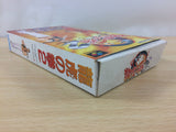 Art Of Fighting 2 BOXED SNES Super Famicom Japan - UC3650