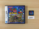 A Penguin's Troubles The World BOXED Nintendo DS Japan - FG8691